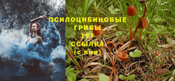 амф Абдулино