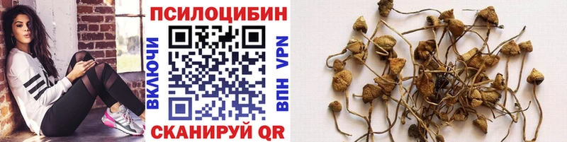 OMG вход  Приволжский  Галлюциногенные грибы мицелий 